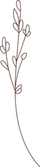 Floral Branch Sketch