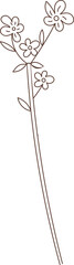 Flower Hand Drawn Sketch