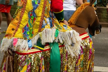 Fantasia de cavalo no Carnaval de rua de São Paulo. 