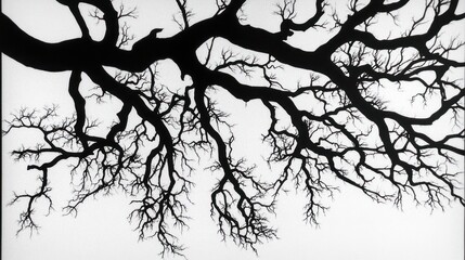 Silhouette of gnarled branches against a bright sky, nature background, design element