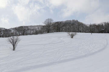 スキーのゲレンデ