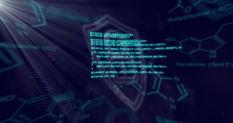 Digital lock and shield security image over chemical formulas background