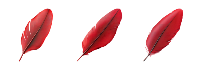 Red Feather Isolated on Transparent Background