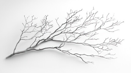 Bare branches on white background, winter decor