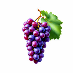 Fototapeta premium Fresh Cluster Of Ripe Purple Grapes With Green Leaves Displayed On An Isolated Background