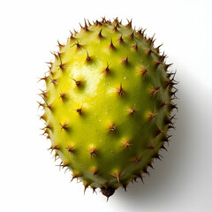 Unique Green Spiky Fruit With Distinctive Texture Set Against Isolated Background