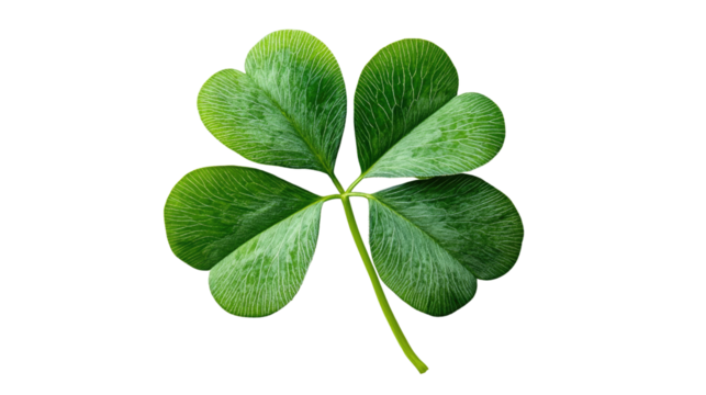 Lucky Clover: A vibrant four-leaf clover stands out in sharp detail, a symbol of good fortune and Irish heritage. The image evokes a feeling of hope and serendipity.