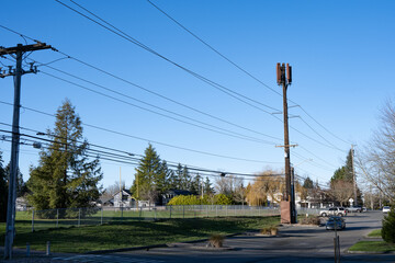 Wireless communications cell site, mobile phones, collocated on a wood glue laminate power line pole, antennas painted brown to blend in with wood, sunny winter day
