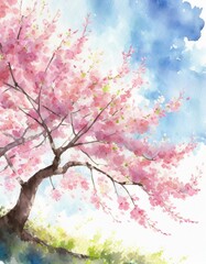 Obraz premium お花見、春、桜の木の水彩画イラスト