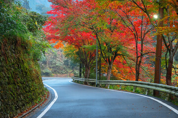 Kibune (Kifune) Suburban Road with Colorful Autumn Scenario in Kyoto, Japan