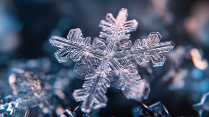 Intricate Crystal Structure of a Single Snowflake