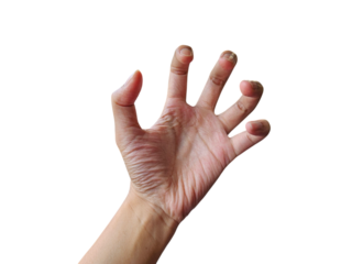 Human hand making a claw-like gesture, isolated on white background, transparent PNG, cut out