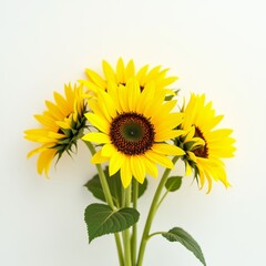 Naklejka premium A bright yellow flower with a dark center, often used to symbolize warmth and happiness