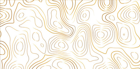 Topographic canyon geometric map relief texture with curved layers and shadow. abstract White background with a beautiful pattern, Topographic contour lines vector map seamless pattern vector.