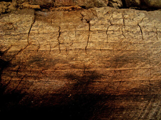 a very natural sharp wood photo from nature