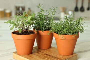 Different aromatic herbs in pots on white marble table indoors