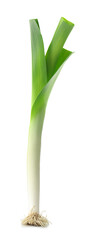 One fresh green leek isolated on white