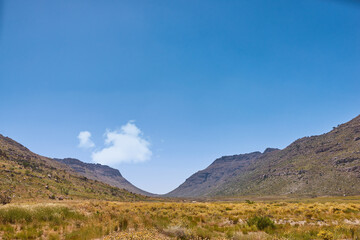 Nature, mountains and grass with growth for landscape, sustainability and environment for adventure. Blue sky, plants and season change in summer for tourism, outdoor location and ecology in Denmark