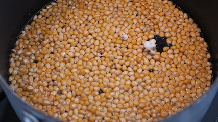 Making homemade popcorn. Close-up slow motion as kernels begin to pot on the stovetop. - Powered by Adobe