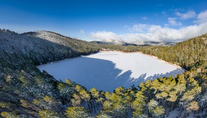 Peaceful silence blankets the forest.  