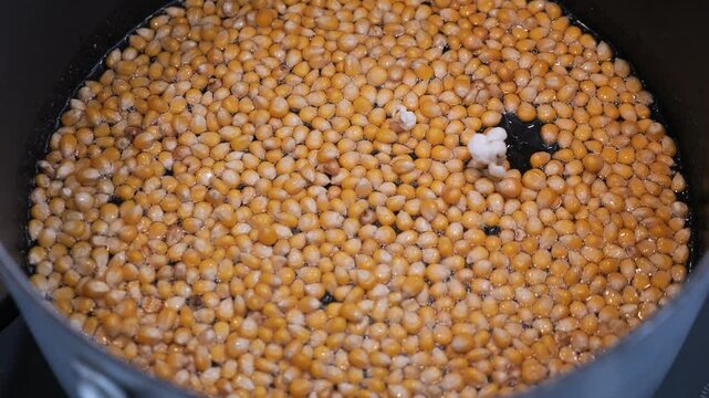 Making homemade popcorn. Close-up slow motion as kernels begin to pot on the stovetop.