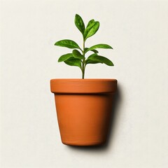 Obraz premium Green Plant in Terracotta Pot Against Light Background