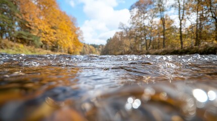 Autumn river flowing through forest, close-up