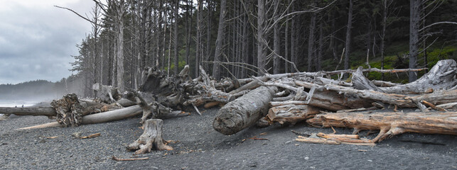 Rialto Beach beach and ocean island views at dusk in Olympic National Park, Washington State, USA. 