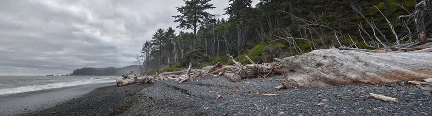 Rialto Beach beach and ocean island views at dusk in Olympic National Park, Washington State, USA. 