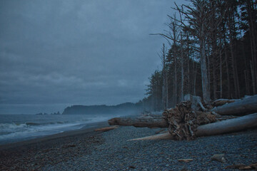 Rialto Beach beach and ocean island views at dusk in Olympic National Park, Washington State, USA. 