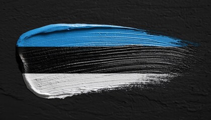 Estonian Flag Painted on Textured Black Surface