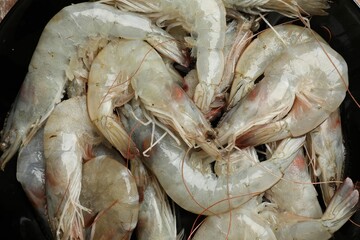 Fresh raw shrimps in bowl, top view