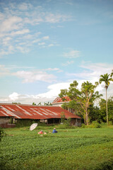 A rural farming scene with a farmer working in a lush green field near an old red-roofed barn under a bright blue sky