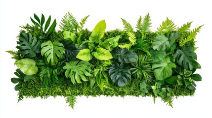 Fototapeta premium Lush Greenery Arrangement with Varied Tropical Leaves and Plants