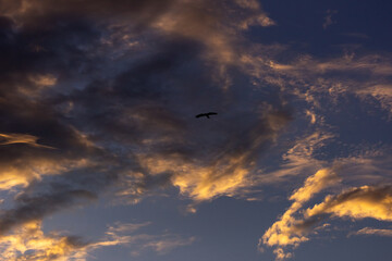 clouds at sunset