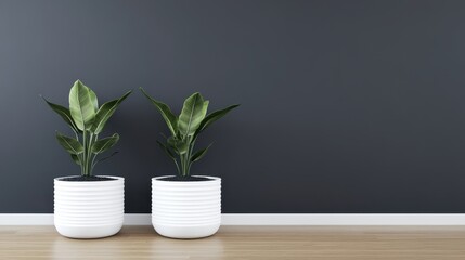Obraz premium Two green potted plants are placed beside each other against a dark wall, creating a modern and minimalist home decor vibe.