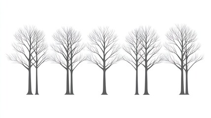 Bare winter trees silhouettes, row, white background, design element