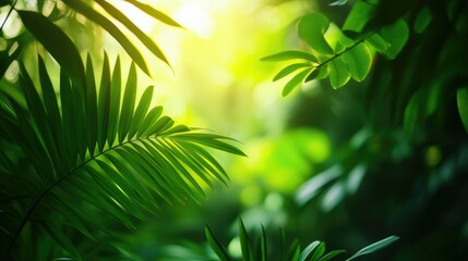 Refreshing green blur background with vibrant gradients, evoking a sense of energy and natural peace.
