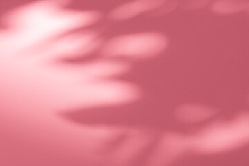 Wall interior background, studio and backdrops show products.with shadow from window color pink background for text insertion and presentation interior decoration	