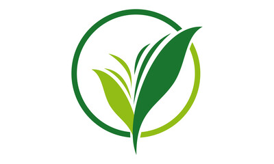 green leaf logo design