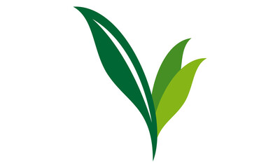 leaf logo design