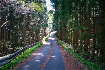 Fototapeta premium 山道 山 道路