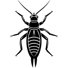 Earwig Silhouette vector with white background