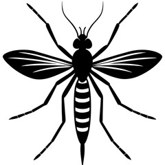 Mosquito Silhouette vector with white background