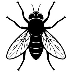 Fly Silhouette vector with white background