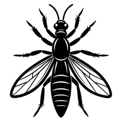 Thrips Silhouette vector with white background