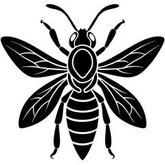 Hornet Silhouette vector with white background
