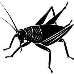 Bush cricket Silhouette vector with white background