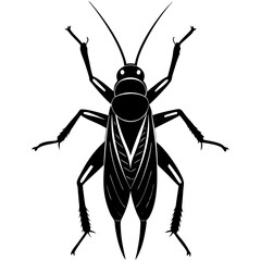 Orthoptera Silhouette vector with white background