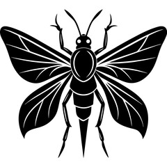 Pterygota Silhouette vector with white background